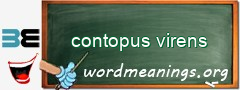 WordMeaning blackboard for contopus virens